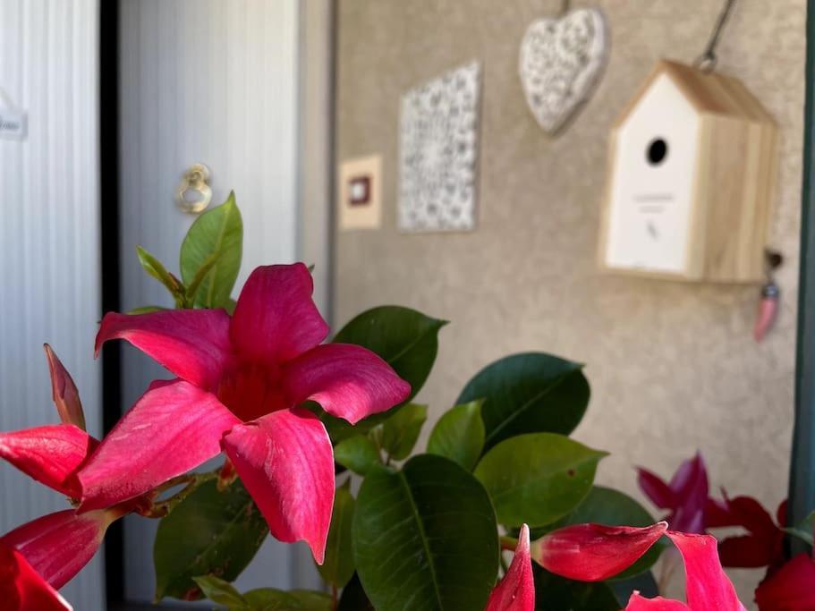 Annali Casa Vacanze - Shabby Style Nella Natura La Spezia Extérieur photo